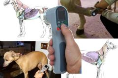 GPP Veterinary lasers